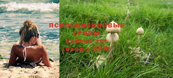 spice Вязники