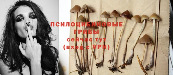 меф Вяземский