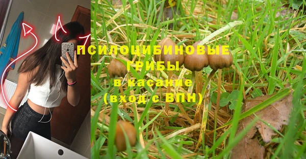 меф Вяземский