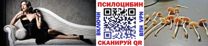закладки  Остров  Галлюциногенные грибы ЛСД 
